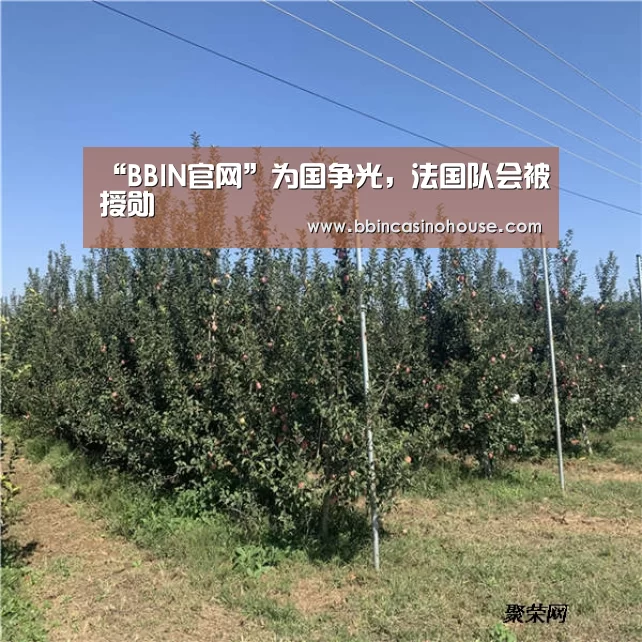 “BBIN官网”为国争光,法国队会被授勋(图1) BBIN棋牌