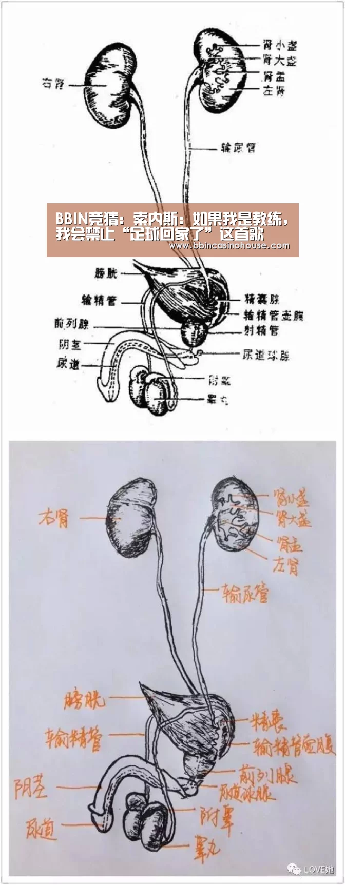 BBIN竞猜:索内斯:如果我是教练,我会禁止“足球回家了”这首歌(图1) BBIN官网