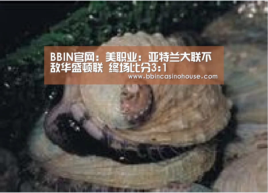 BBIN官网:美职业: 亚特兰大联不敌华盛顿联 终场比分3:1(图4) BBIN官网