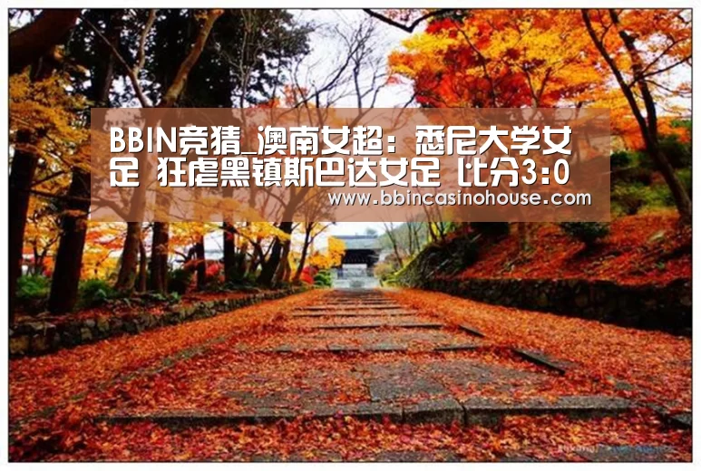 BBIN真人